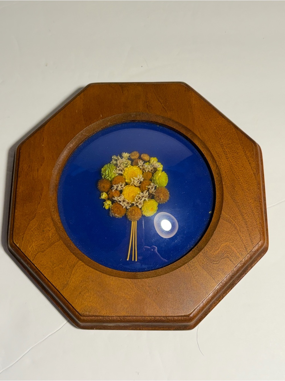 Framed Vintage Mitzi Line Florals From Spencer Iowa rounded glass